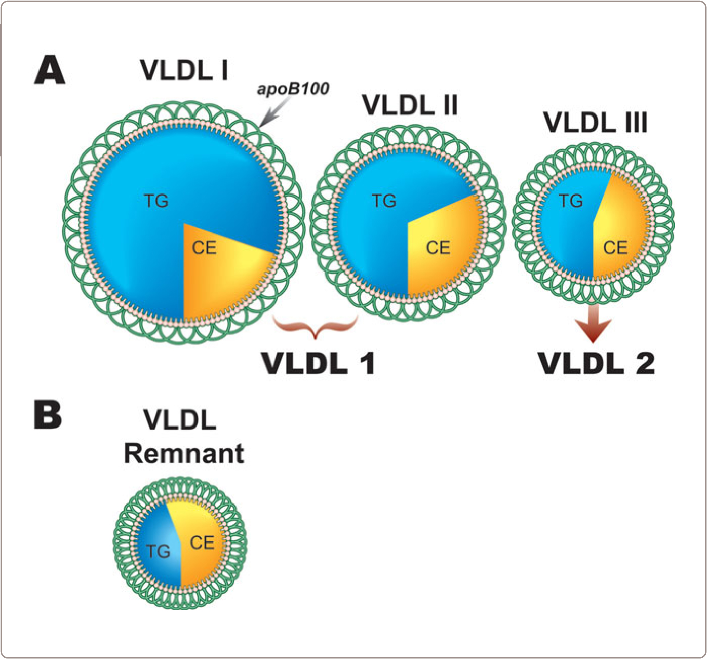 A978-90-368-0980-1_1_Fig6_HTML.jpg