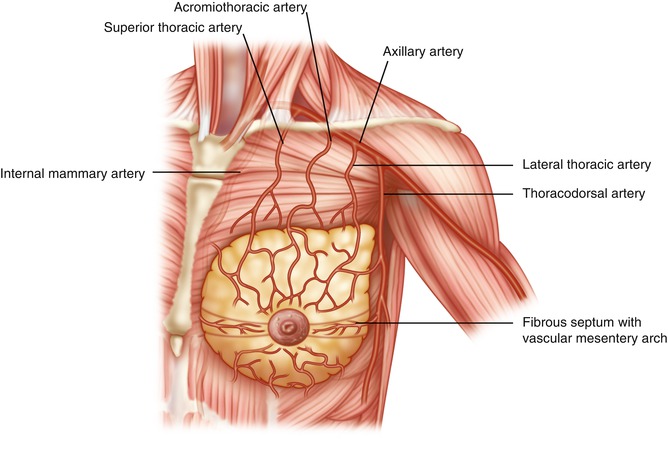 A303957_1_En_1_Fig14_HTML.jpg