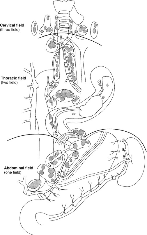 A314799_1_En_4_Fig2_HTML.jpg