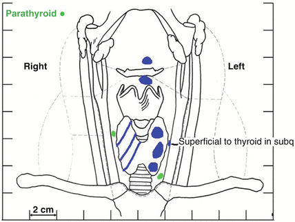 A330458_1_En_11_Fig3_HTML.gif