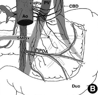 A337590_1_En_16_Fig3_HTML.jpg