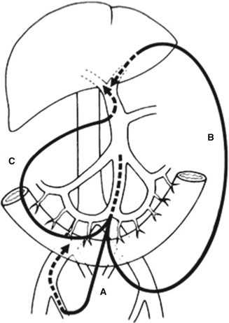 A337590_1_En_20_Fig2_HTML.jpg