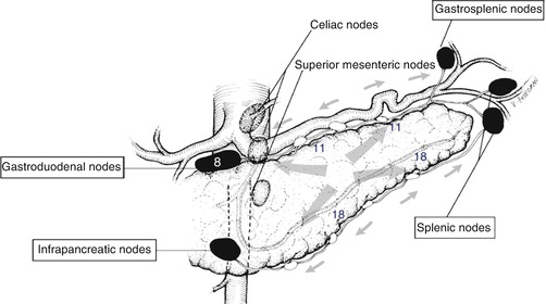 A337590_1_En_25_Fig3_HTML.jpg