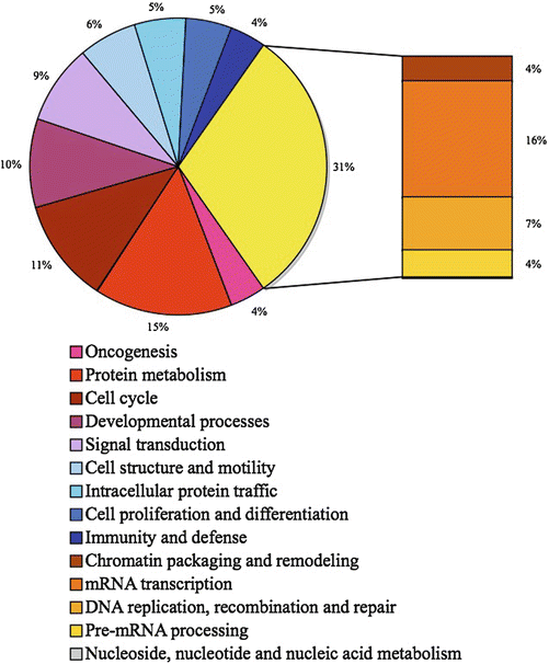 A144855_2_En_13_Fig4_HTML.gif