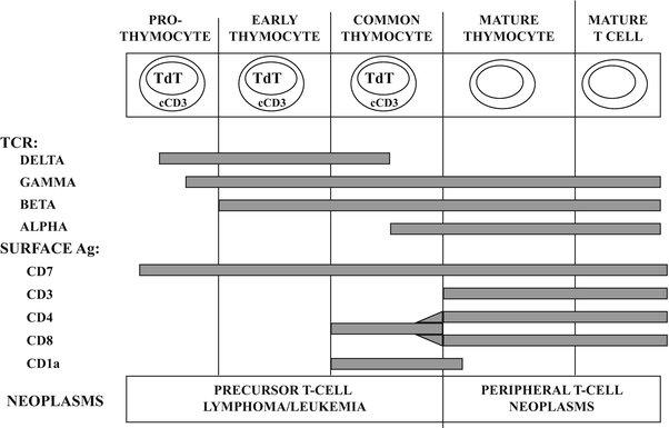 A144855_2_En_31_Fig4_HTML.gif