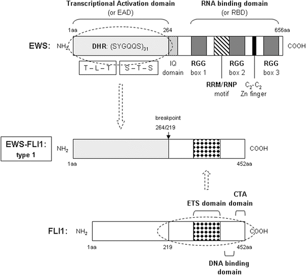 A144855_2_En_34_Fig1_HTML.gif