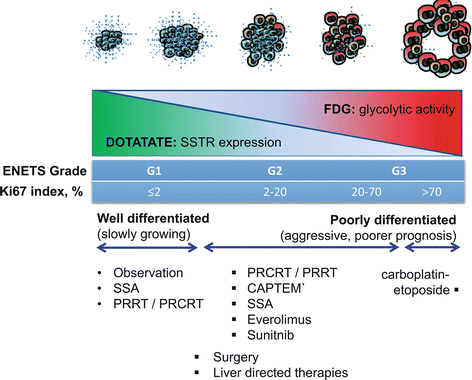 A339179_1_En_10_Fig4_HTML.gif