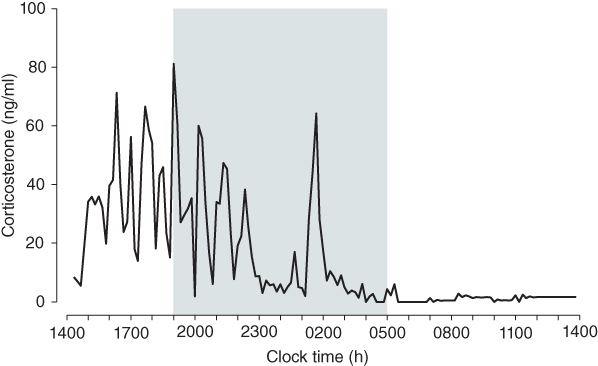 Graph of Corticosterone (ng/ml) vs. Clock time (h) for Circadian and ultradian CORT rhythms in the rat. A shaded part in the graph measure from 0500 to 1900h.