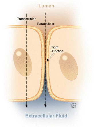 A339095_1_En_2_Fig11_HTML.gif