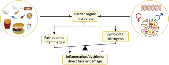 A323434_1_En_3_Fig1_HTML.gif