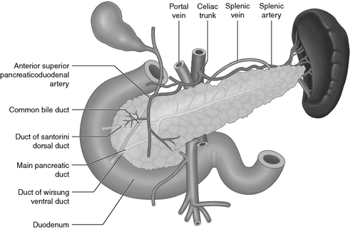 A187719_1_En_11_Fig2_HTML.gif