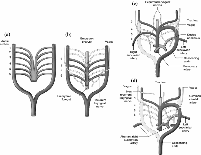 A187719_1_En_1_Fig3_HTML.gif