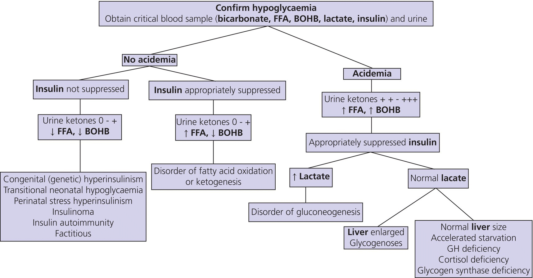 Flow diagram from Confirm hypoglycaemia to No academia and Acidemia. The former leads to insulinoma, perinatal stress hyperinsulinism, etc., while the latter leads to disorder of gluconeogenesis, GH deficiency, etc.