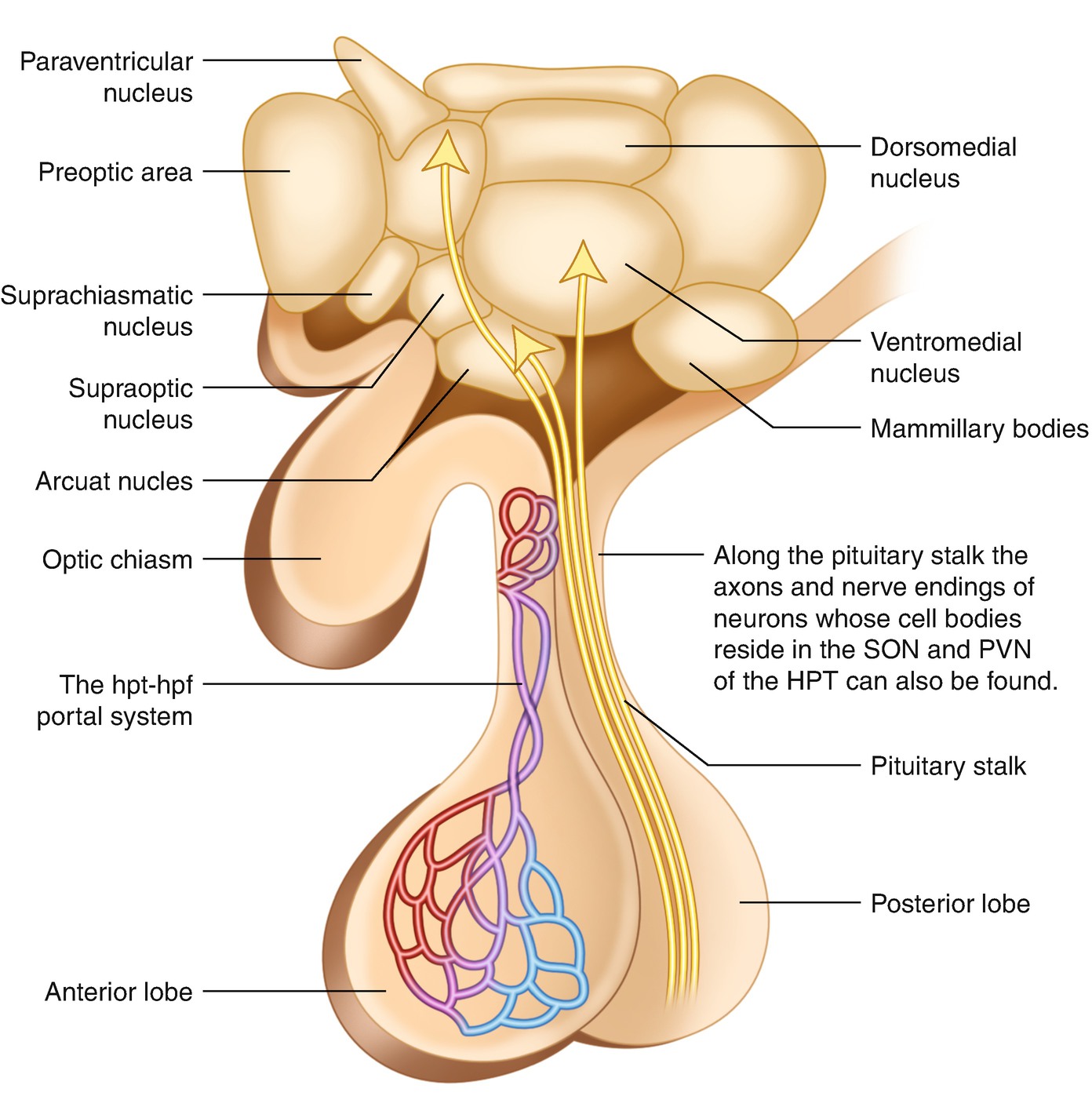 ../images/483405_1_En_2_Chapter/483405_1_En_2_Fig1_HTML.jpg