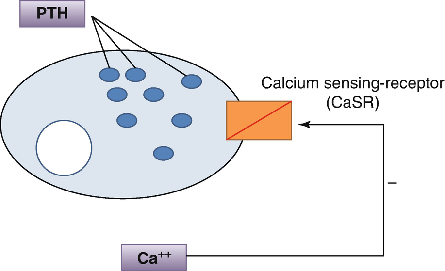 ../images/483405_1_En_5_Chapter/483405_1_En_5_Fig3_HTML.png