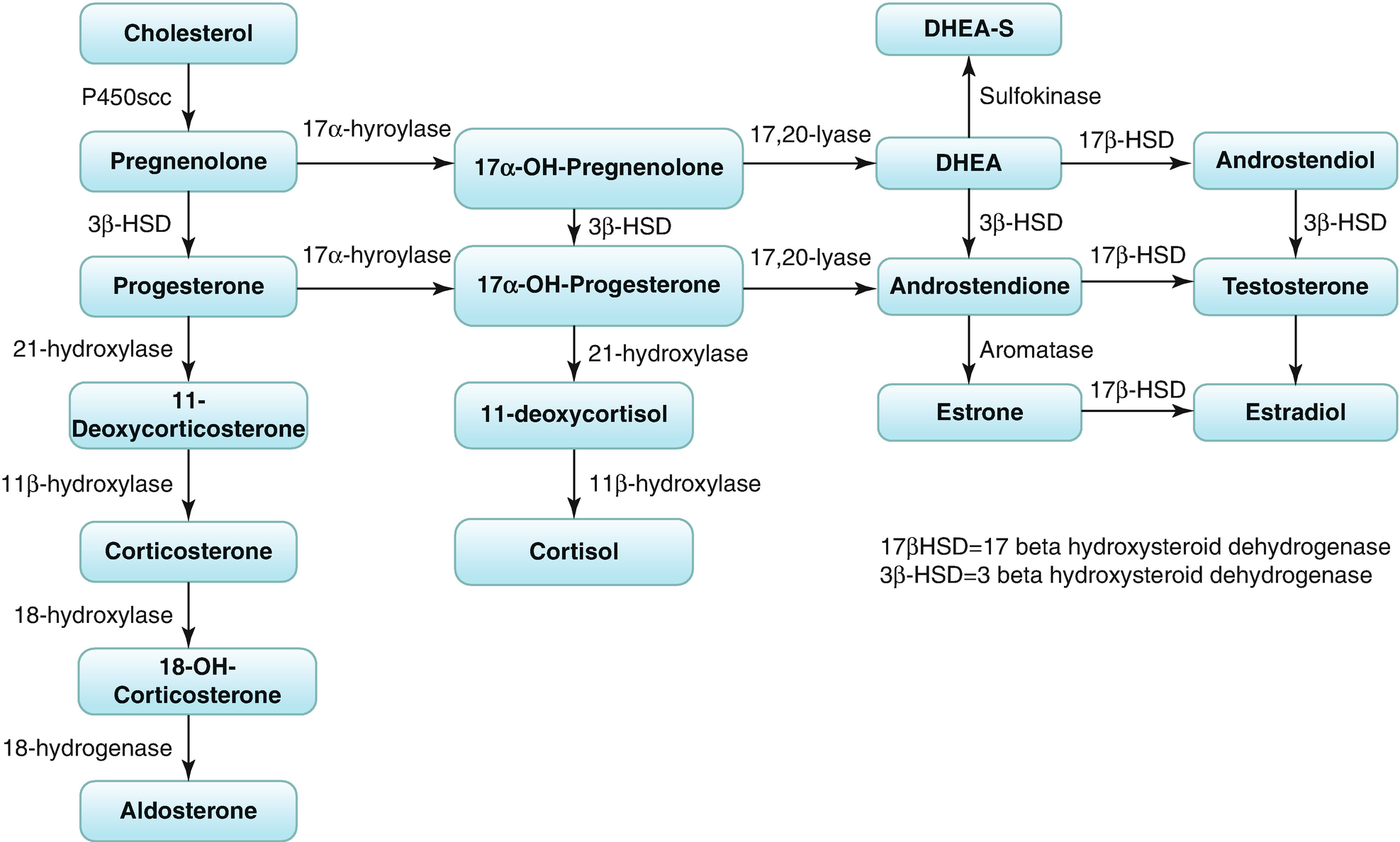 ../images/483405_1_En_6_Chapter/483405_1_En_6_Fig1_HTML.png