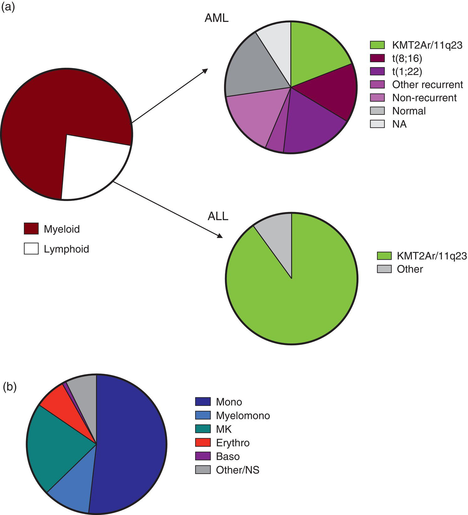 Schematic illustration of summary of the phenotypic, immunophenotypic and genetic features of neonatal acute leukaemia.