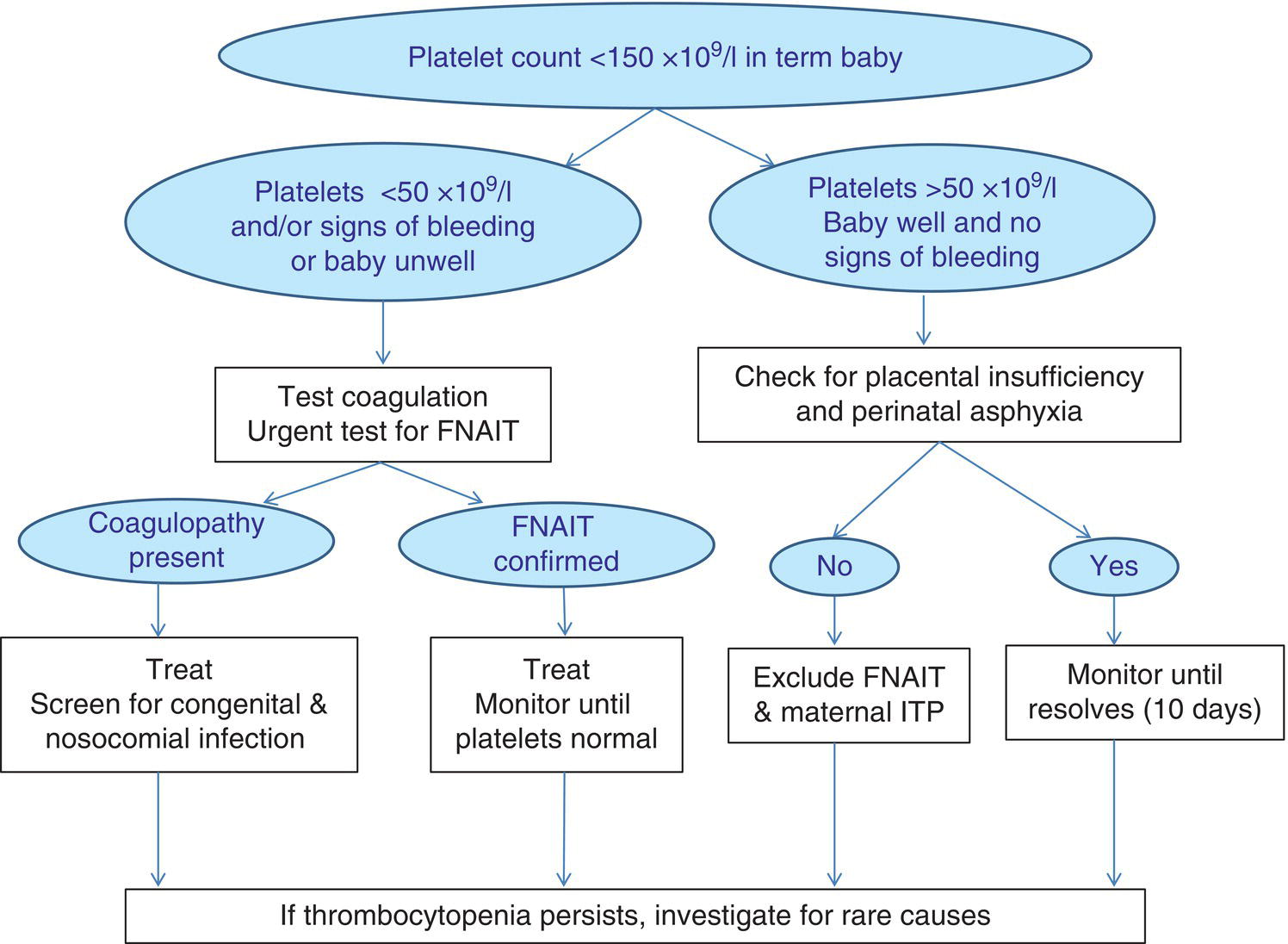 Schematic illustration of algorithm for the management of thrombocytopenia in a term baby.