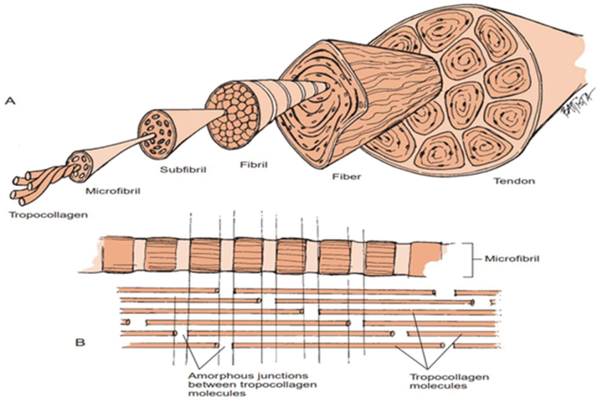 A diagram presents a hot, dry air inflow, energy flow heat into a periphery, and mass flow water outflow from a central system.