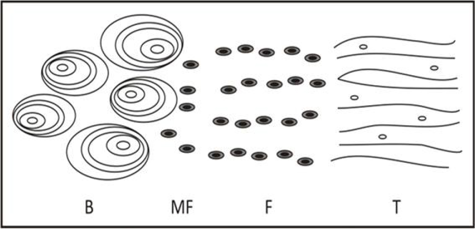 A diagram of a grain with three concentric compartments has arrows show heat flow inward, mass flow outward, with hot air inflow.