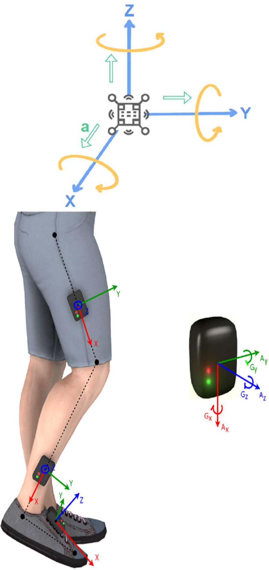 A diagram of an inertial measurement unit with accelerometer, gyroscope, and magnetometer sensors positioned on a leg.