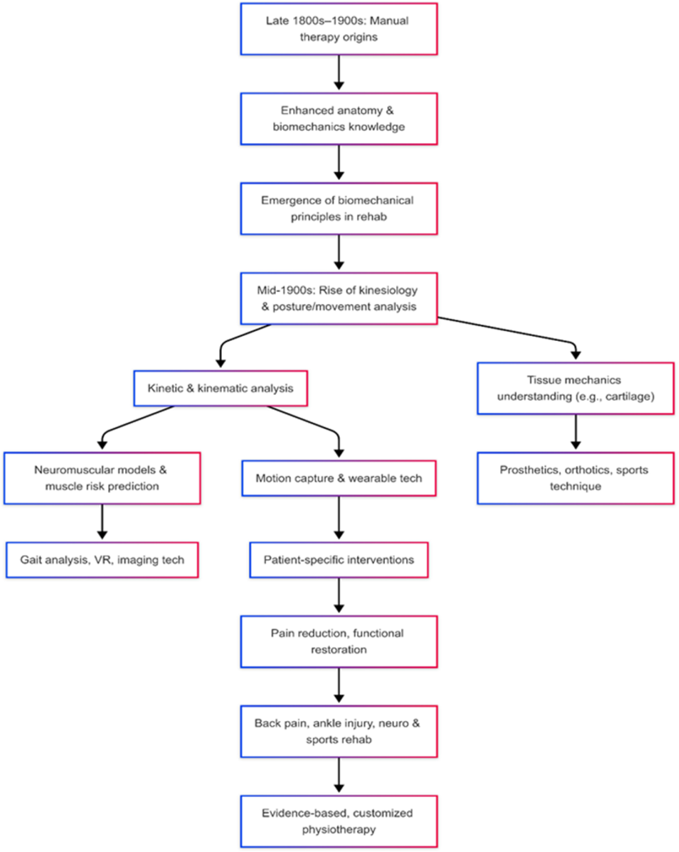 A flowchart illustrates the evolution of biomechanics in rehabilitation, from manual therapy origins to customized physiotherapy.