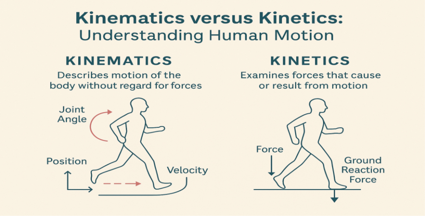 An illustration depicts that kinematics describes body motion without considering forces, while kinetics examines the forces causing that motion.