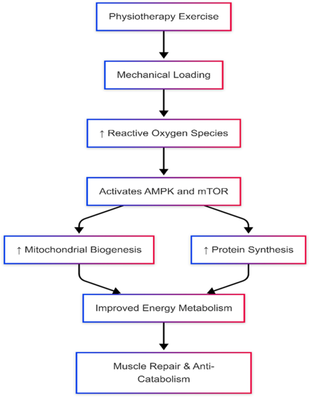 A flowchart illustrates the role of physiotherapy exercise in cancer recovery, detailing biochemical changes and outcomes.
