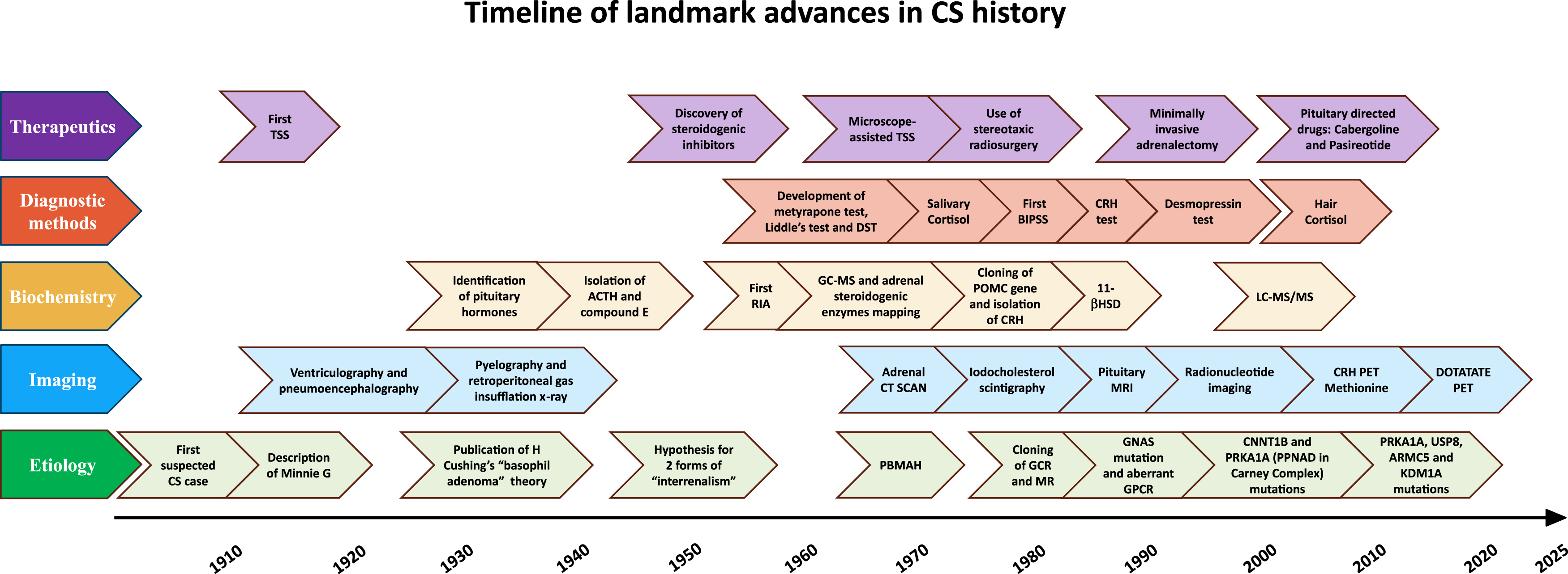 A timeline diagram of landmark advances in C S history arranged by Therapeutics, Diagnostic methods, Biochemistry, Imaging, and Etiology from 1910 to 2025.