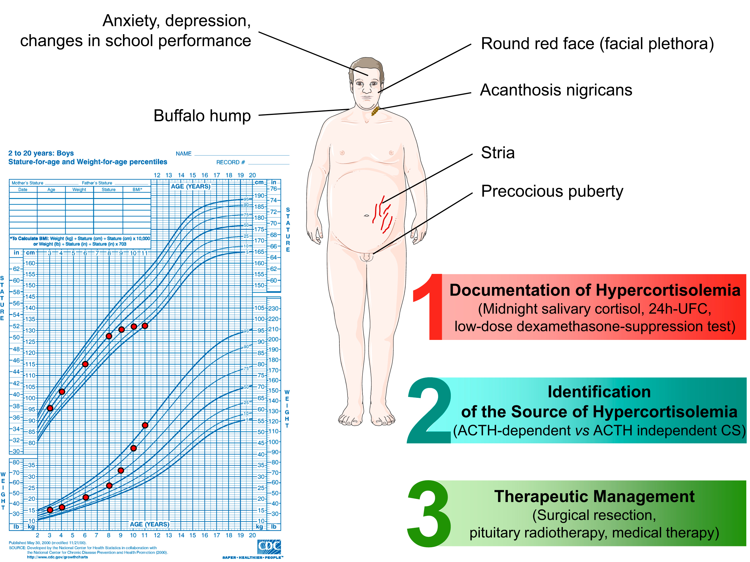 A page layout with a young person body diagram, symptom labels, a boys growth chart with plotted points, and three coloured panels outlining diagnosis, source identification, and treatment steps.