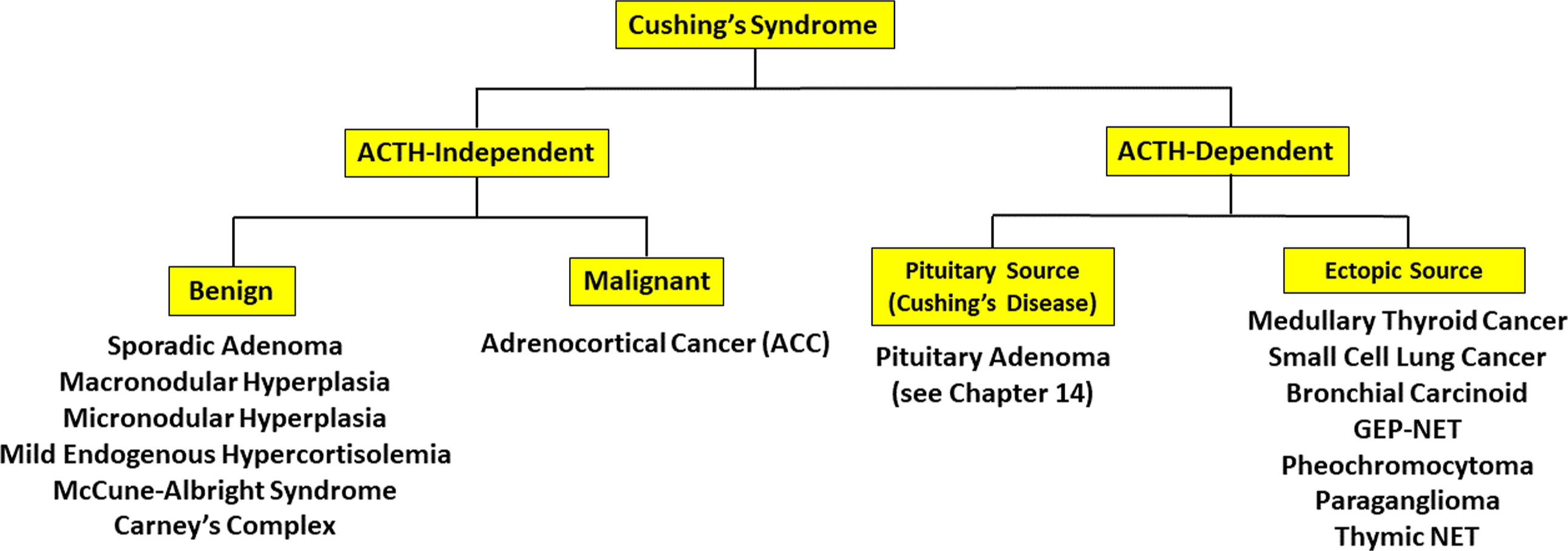 The image presents a flowchart describing the classification of Cushing’s Syndrome based on whether it is A C T H-independent or A C T H-dependent.