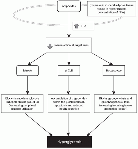 Diagnosis And Management Of T2dm 