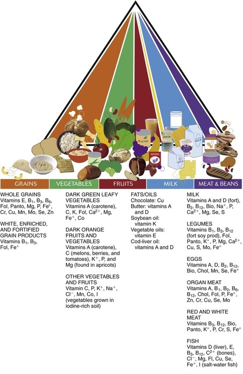 The Micronutrients Of Balanced Meals | Oncohema Key