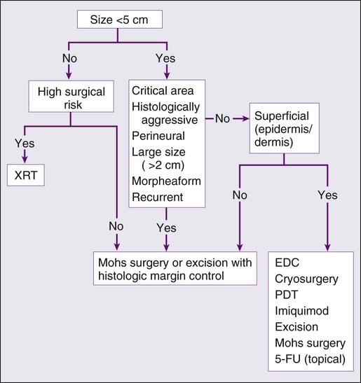 Nonmelanoma Skin Cancers Basal Cell and Squamous Cell Carcinomas