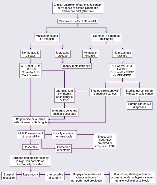Carcinoma Of The Pancreas Oncohema Key 3446