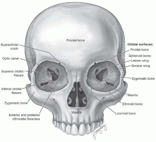 Cancer of the Nasal Vestibule, Nasal Cavity, Paranasal Sinuses