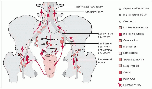 Colon And Rectum Oncohema Key