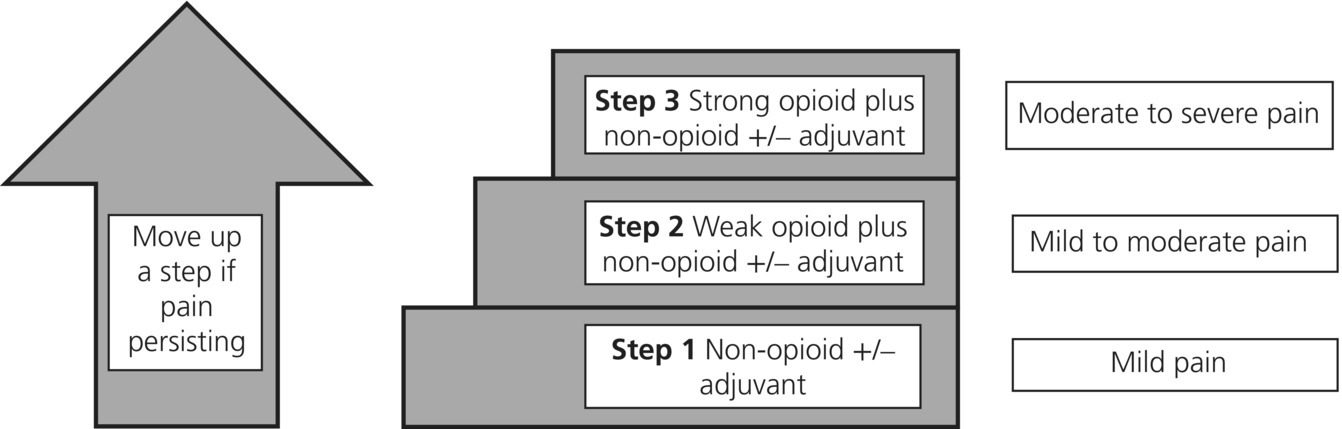 c8-fig-0001