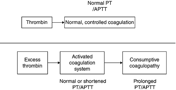 c9-fig-0001