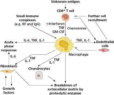 c10-fig-0003