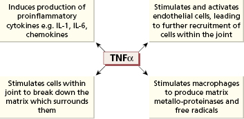 c10-fig-0004