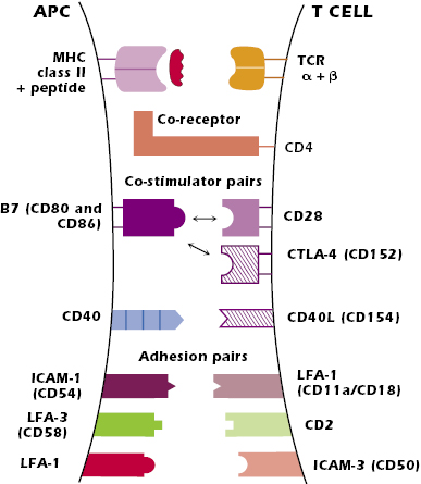 c11-fig-0003