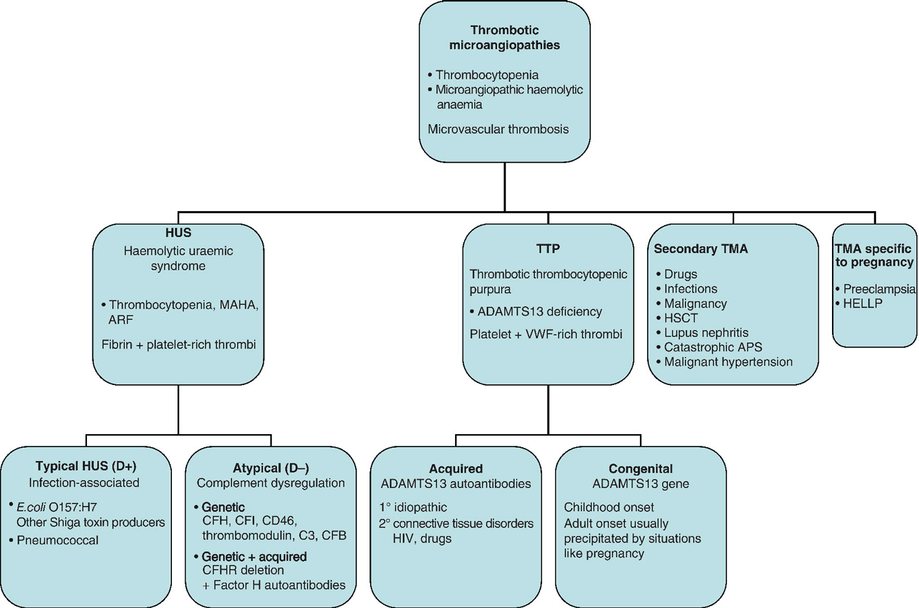 c11-fig-0001