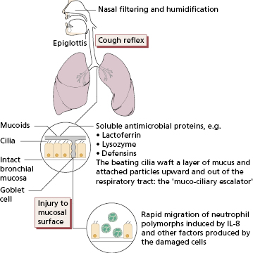 c13-fig-0001