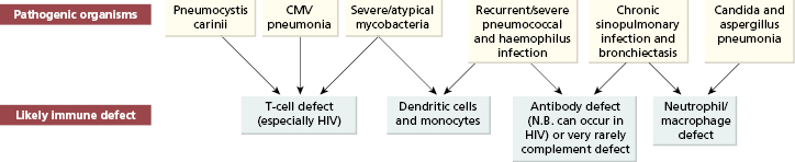 c13-fig-0002