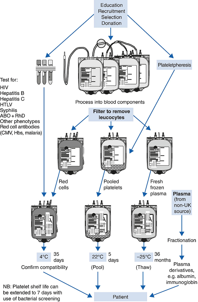 c13-fig-0001