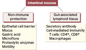 c14-fig-0001