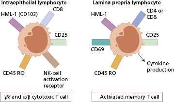 c14-fig-0005