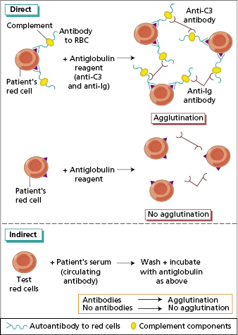 c16-fig-0003