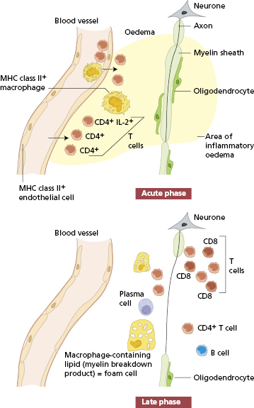 c17-fig-0002